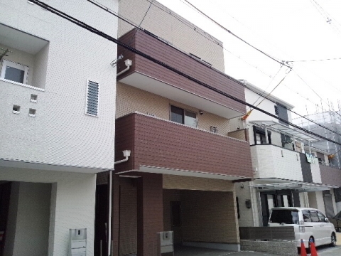 ���飷���ƹ�